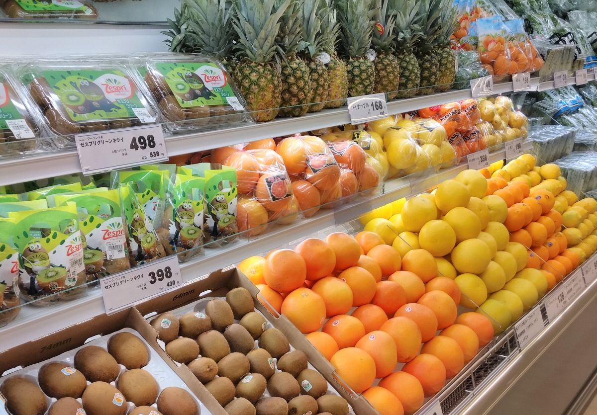 テスクの決め手は、規模に合った提案と伴走支援